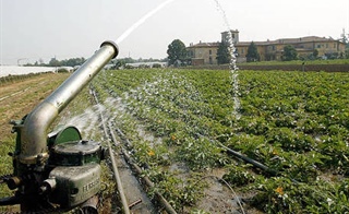 Crisi agricoltura trapanese. Mcl e Feder.Agri incontrano il Prefetto