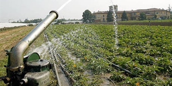 Crisi agricoltura trapanese. Mcl e Feder.Agri incontrano il Prefetto